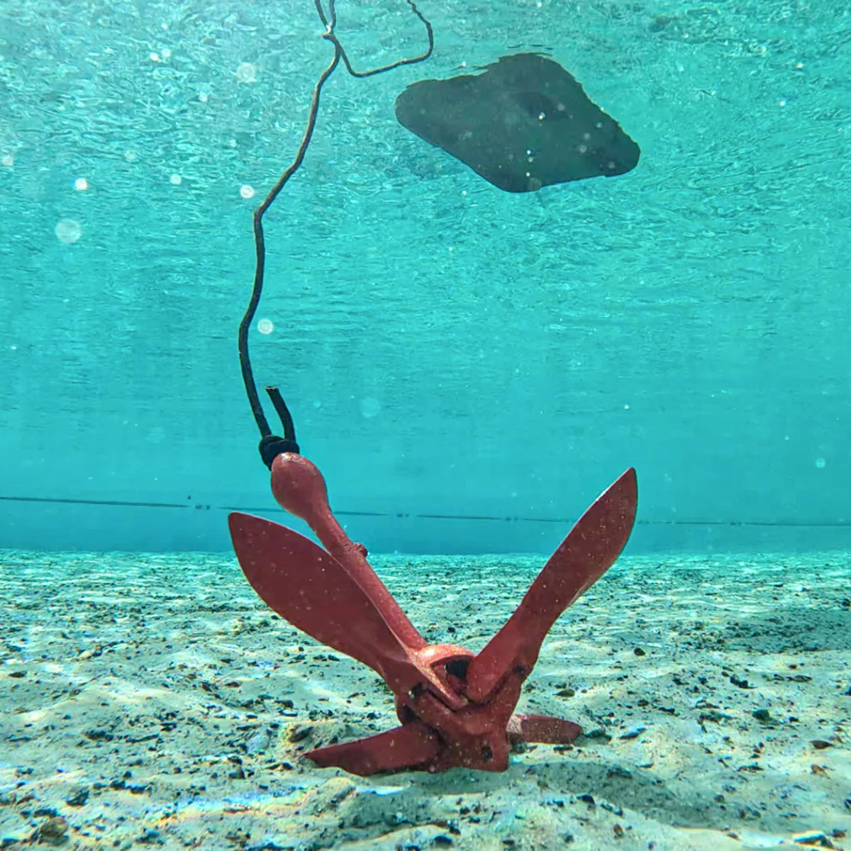 Anchor