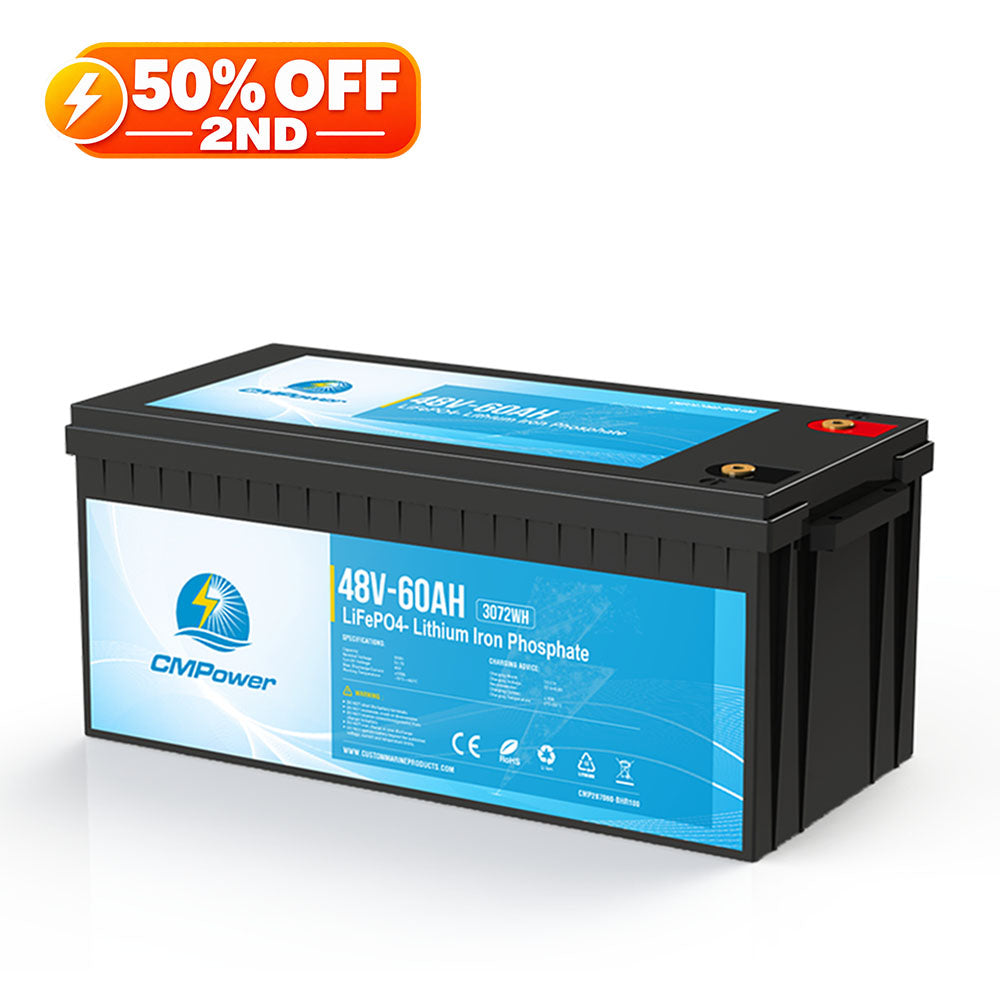 60 Ah 48 Volt 100 amp draw BMS (ePropulsion and others) - LiFePO4 Lithium Marine Battery